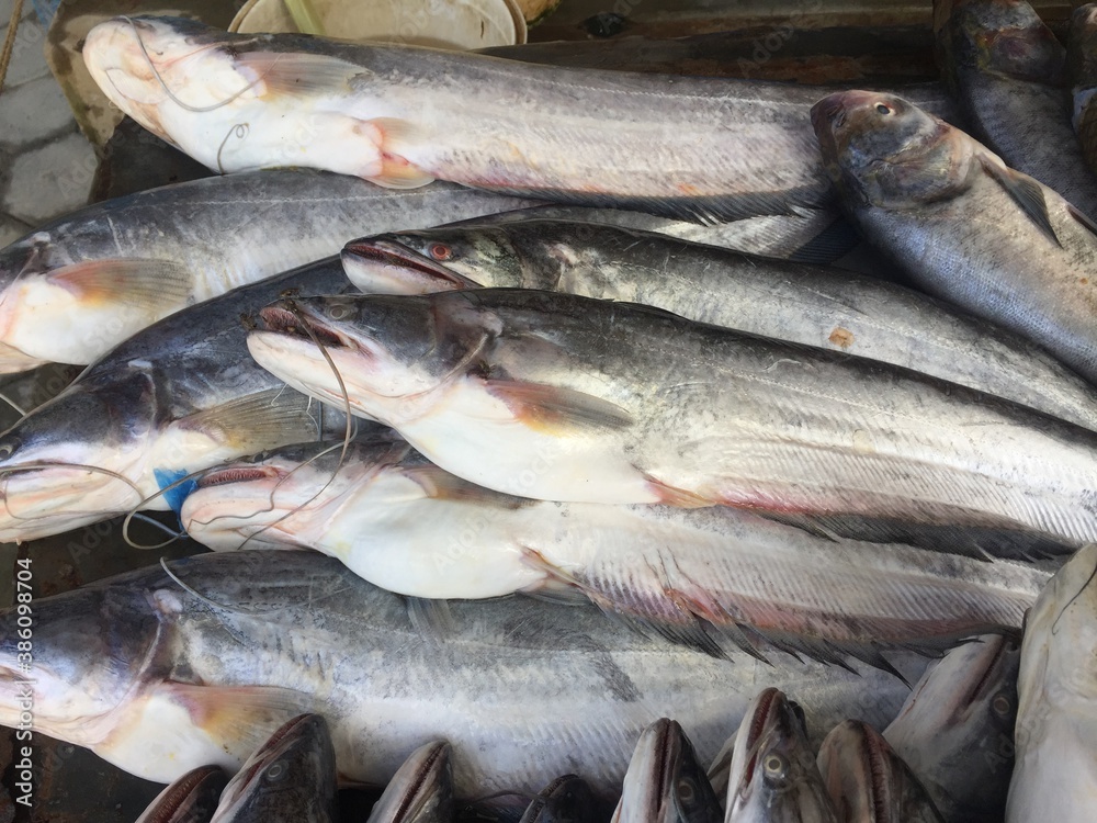 Obraz premium Fresh fish shop.