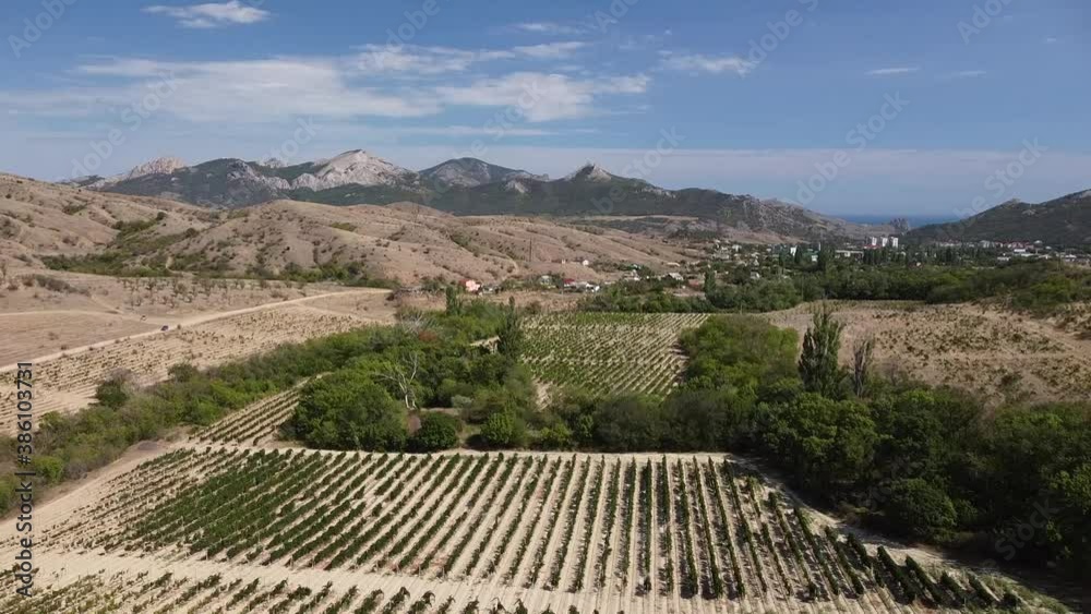 Aerial view on beautiful vineyards in the scenic valleys with views of the mountains. Crimea. Aerial view on beautiful vineyards in the scenic valleys with views of the mountains. Crimea.