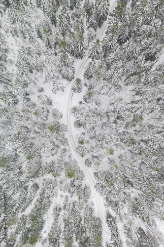 Aerial view at the winter forest. Pine trees as a background. Winter landscape from air. Natural forest background. Forest background from drone