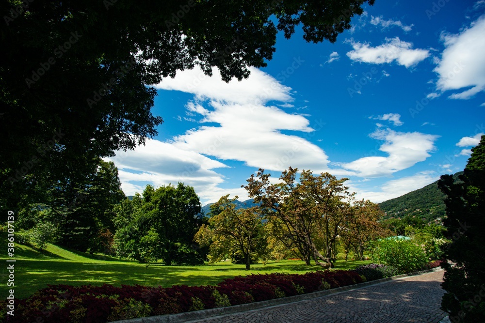 panorama of a garden in northern Italy with flowers and lush nature and the Alps in the background