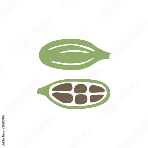 Cute cardamom on transparent background. Cozy spice pictogram original design. Vector shabby hand drawn illustration