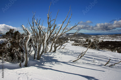 australian winter photo
