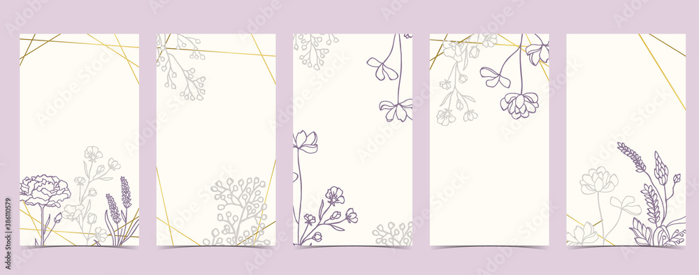 boho background for social media with magnolia,lavender,flower on white background