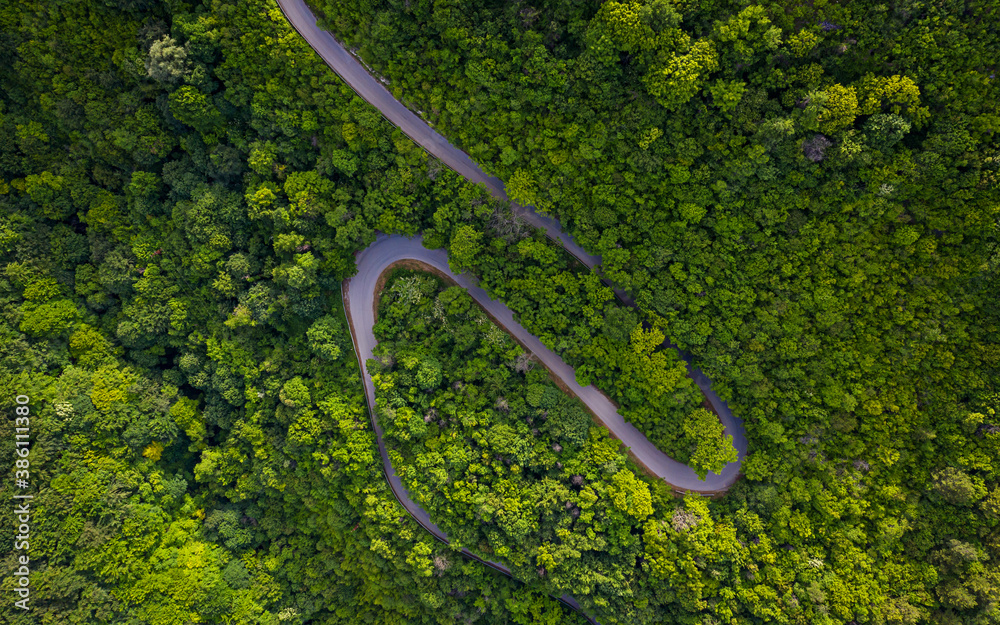 Aerial view of countryside road the green forrest and mountain.