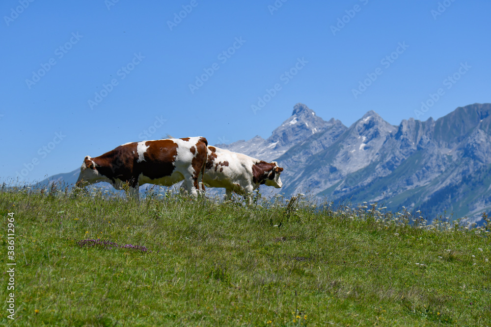 Plateau de Beauregard, savoie, France Plateau de Beauregard, savoie, France