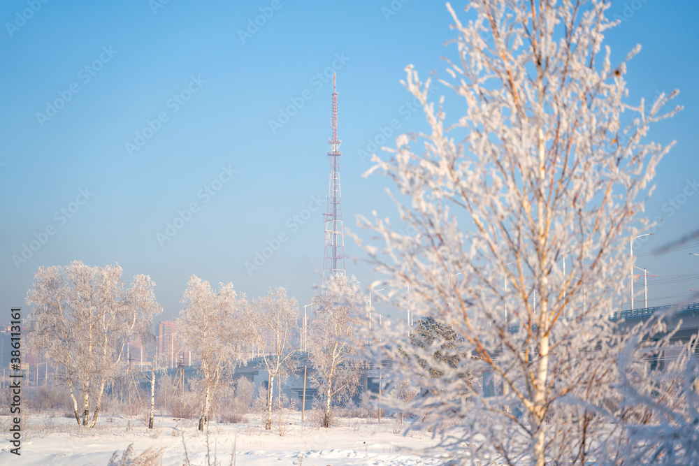 Winter landscape of frosty trees, white snow in city park. Trees in hoarfrost. Seasons, climate change, ecology, environment. Extremely cold winter
