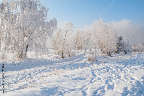 Winter landscape of frosty trees, white snow in city park. Trees in hoarfrost. Seasons, climate change, ecology, environment. Extremely cold winter © Elena Sistaliuk