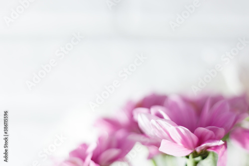 Pink flowers on white background. Copyspace. Celebration concept. Selective focus