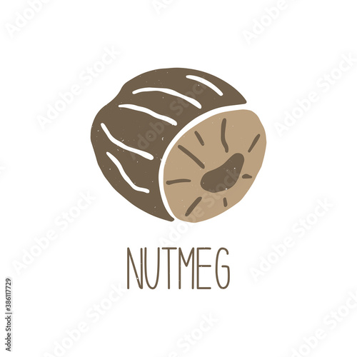 Cute caption half nutmeg isolated on white background. Spice pictogram original design. Vector shabby hand drawn illustration
