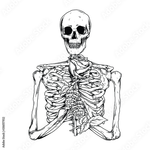 tattoo and t-shirt design black and white hand drawn human skeleton with rose 