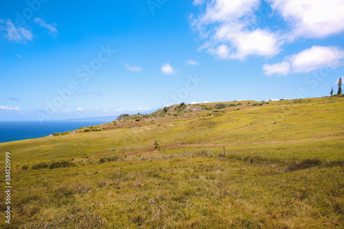 Beautiful country seaside road  West Maui coastline  Hawaii