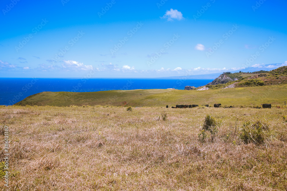 Beautiful country seaside road, West Maui coastline, Hawaii Beautiful country seaside road, West Maui coastline, Hawaii