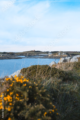 Bord de mer breton avec rochers et végétation photo