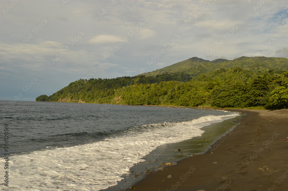 The lush jungle landscapes with waterfalls and black volcanic beaches on the St Vincent and Grenadines islands, Caribbean Ocean The lush jungle landscapes with waterfalls and black volcanic beaches on the St Vincent and Grenadines islands, Caribbean Ocean