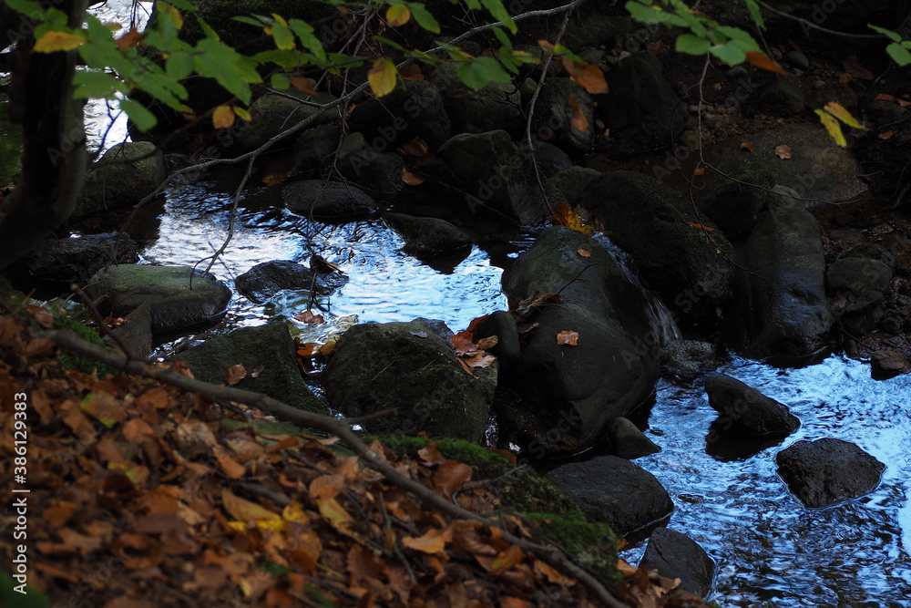 Mały potok górskiej rzeki jesienią - obrazy, fototapety, plakaty 