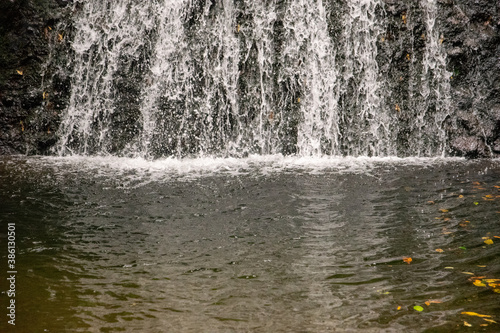 水
