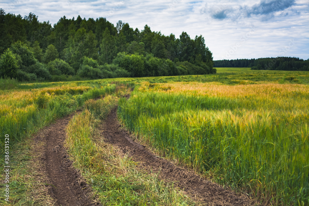 Local countryside in the summer season, near Ruza and Volokolamsk, Russia