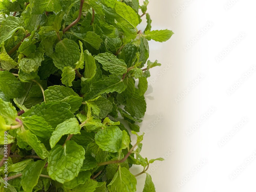 Fresh mint leaves stacked on one side creating a frame on an isolated white background Fresh mint leaves stacked on one side creating a frame on an isolated white background
