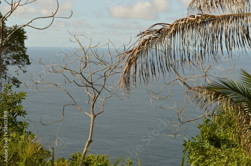 The stunning mountain landscape on the lush Trinidad And Tobago islands in the Caribbean Islands