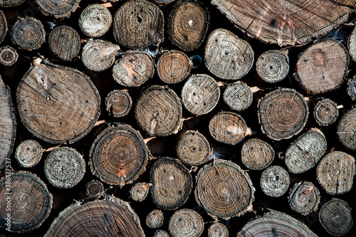 Close-up large and small logs pile background