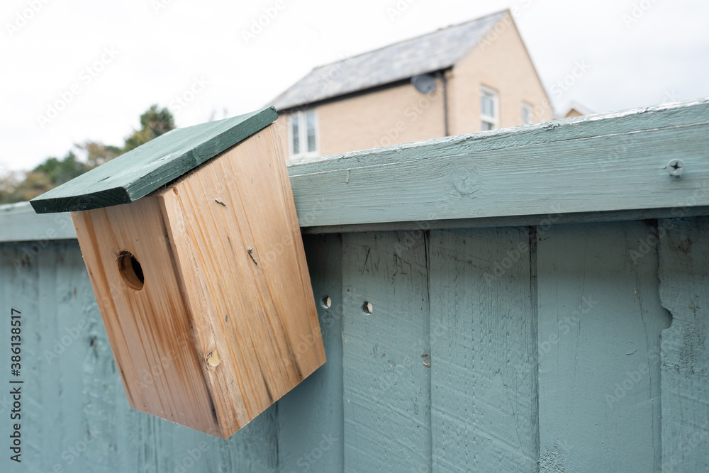 Home made wooden bird and nesting box seen attached to a painted fence. Home made wooden bird and nesting box seen attached to a painted fence.
