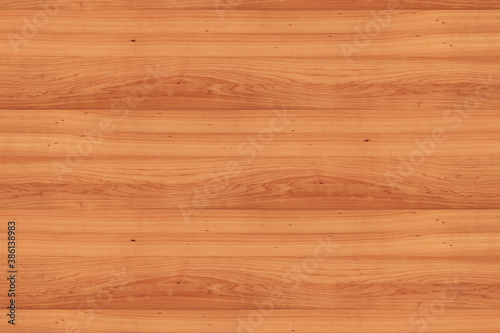 maple tree timber background texture structure surface