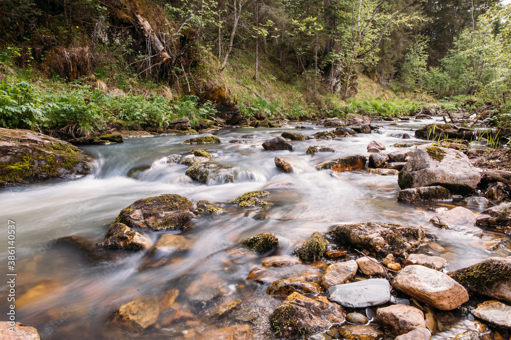 rough stony river in the mountains in the forest rough stony river in the mountains in the forest