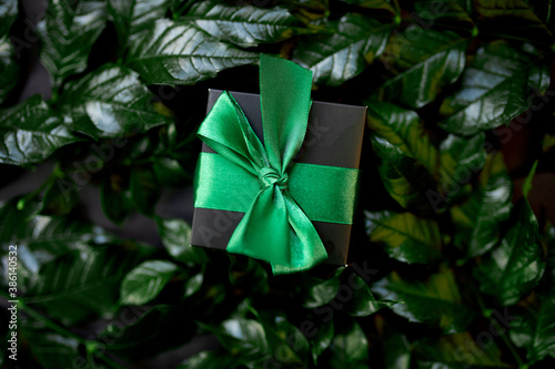 Luxury black gift box with green ribbon on a dark background with leaves