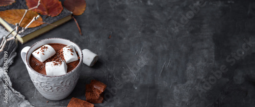 Hot chocolate and marshmallows. Hot Cocoa in a white cup. Dark background. Autumn drink concept. Copy space.