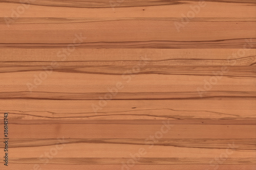 beech wood background texture structure backdrop