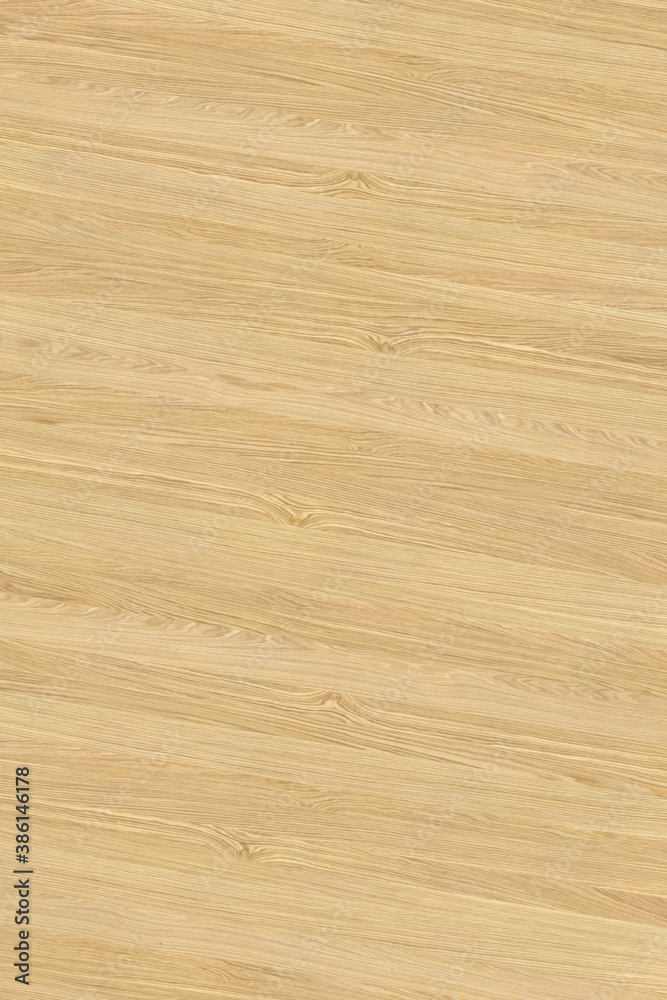 brown wooden tree timber background texture structure backdrop high size brown wooden tree timber background texture structure backdrop high size