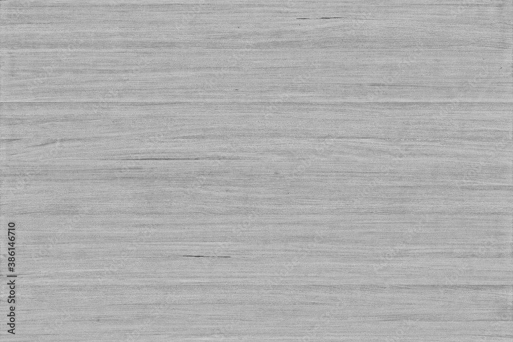grey pale wood tree timber background texture structure backdrop grey pale wood tree timber background texture structure backdrop