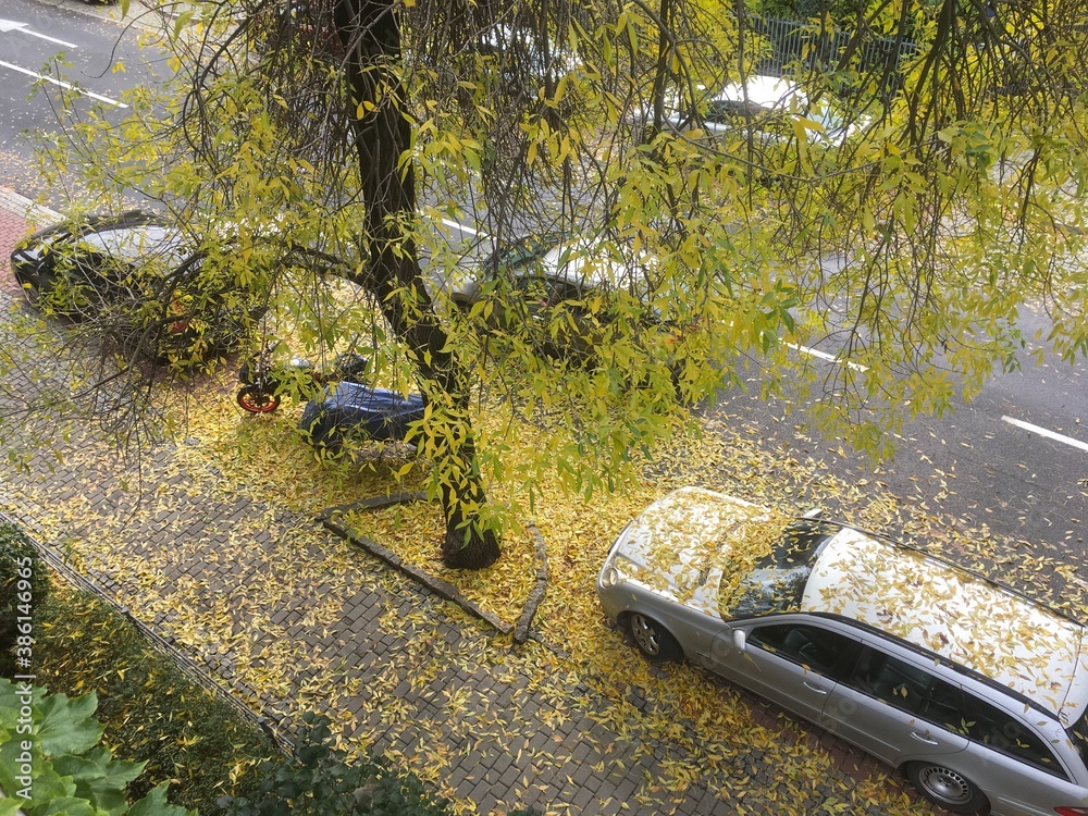 Ulica jesienią