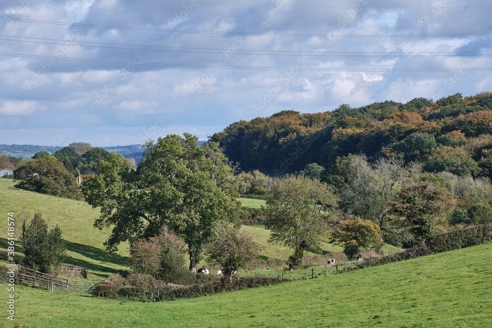 Landscape Wales 2