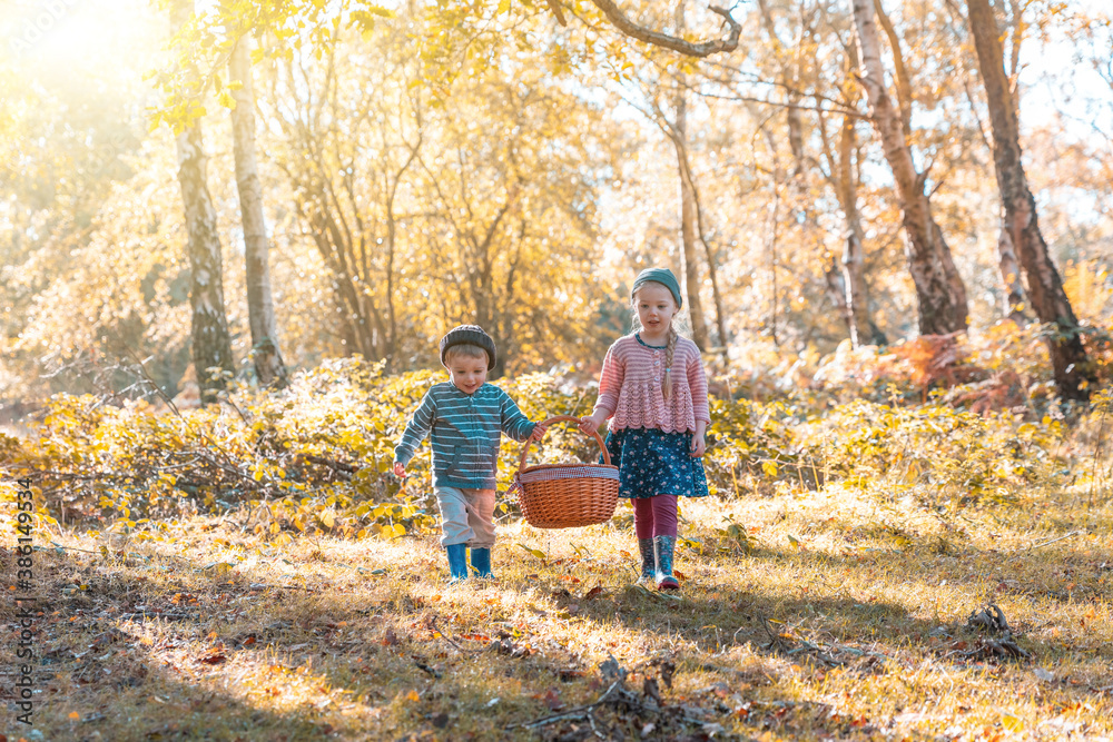Two children carrying a picnic basket in the autumn wood - Cute brother and sister, siblings enjoying a family day out at park on a sunny day in the UK - nature and lifestyle