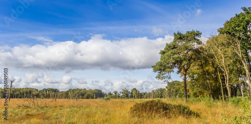 Panorama of the grass plains in autumn in Appelbergen, Netherlands photo