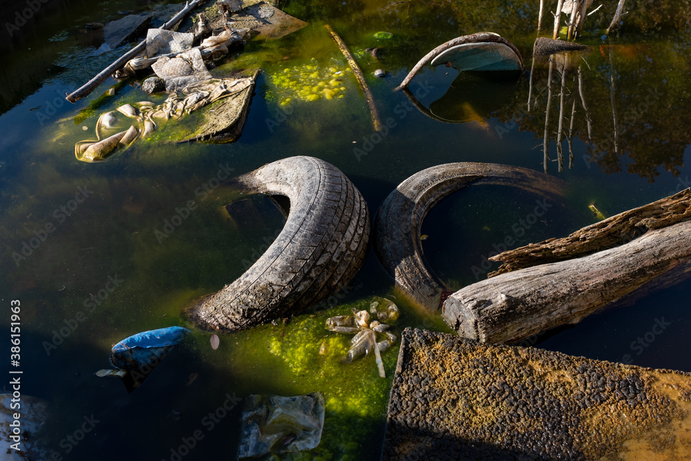 Fototapeta premium environmental pollution. water polluted with waste