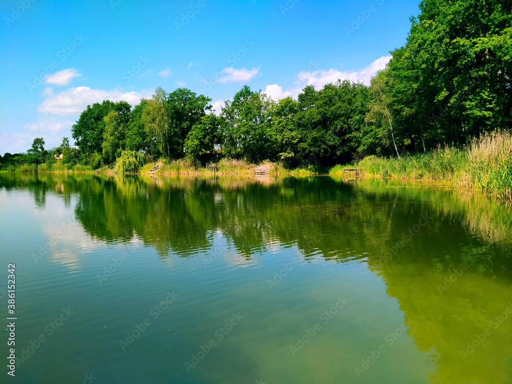 lake in summer