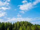Green forest, blue sky with whisps of cloud. This is one of the many natural vistas in Finland. This one was shot at Tuusula / Vantaa.
