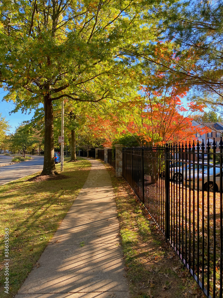 Fall foliage walk in suburbia in October 2020
