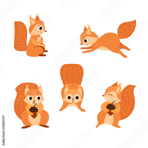 Cute cartoon squirrels set. Funny woodland character isolated on white background. Vector illustration.