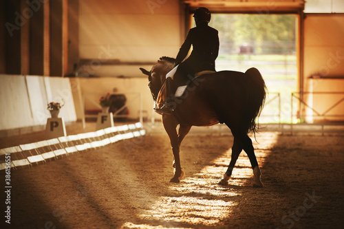 An elegant bay horse with a rider in the saddle participates in dressage competitions in an indoor arena, through the windows of which rays of bright sunlight shine. Horse riding. Equestrian sports.