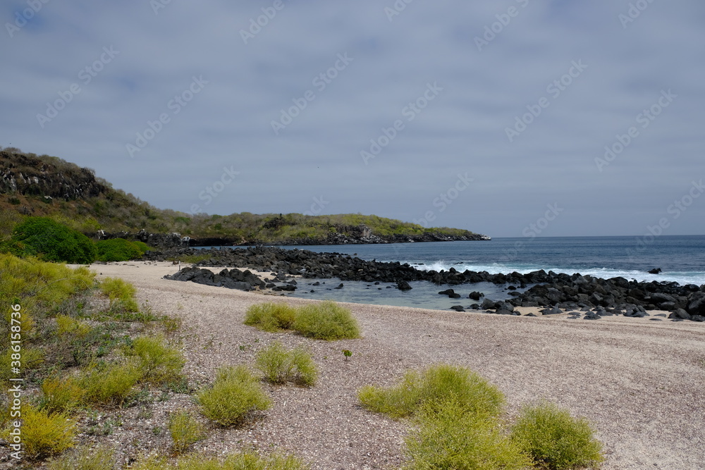 Ecuador Galapagos Islands - San Cristobal Island Scenic Wildlife beach at Bahia Baquerizo Moreno