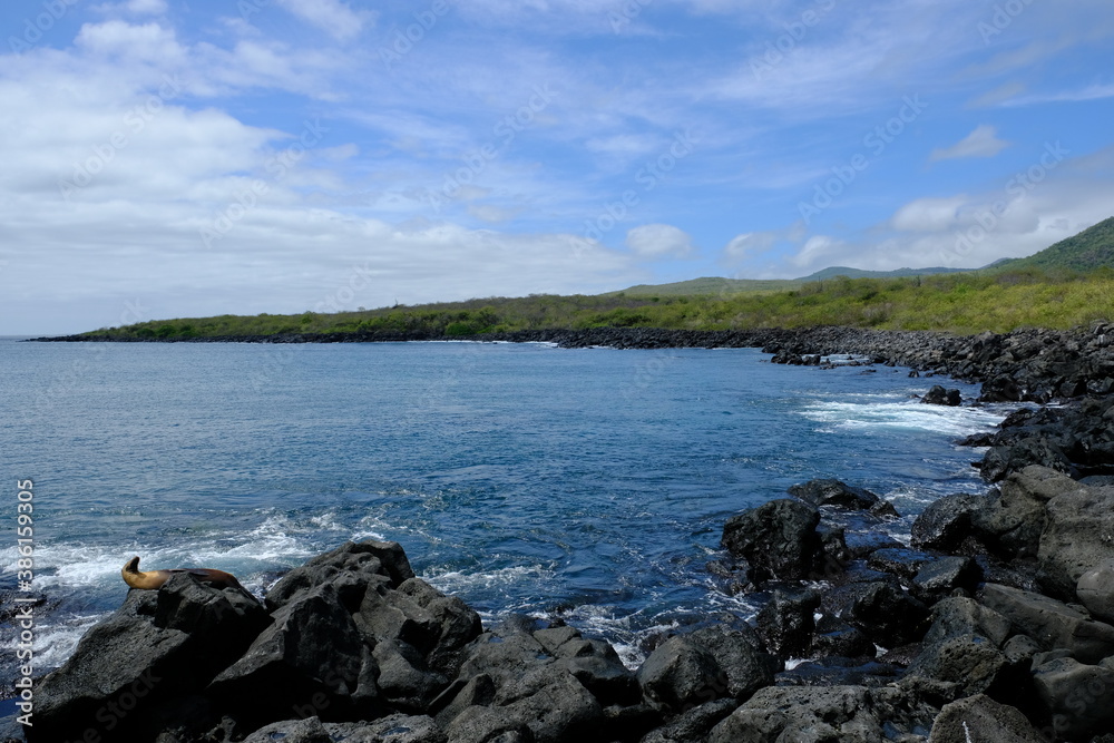 Ecuador Galapagos Islands - San Cristobal Island Scenic Coastline at Beach Baquerizo - Playa Baquerizo Ecuador Galapagos Islands - San Cristobal Island Scenic Coastline at Beach Baquerizo - Playa Baquerizo