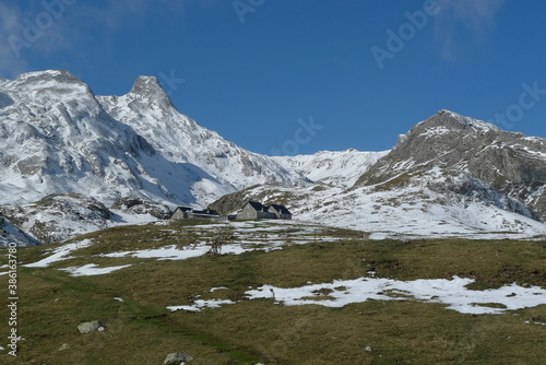 Pastoralisme Pyrénéen