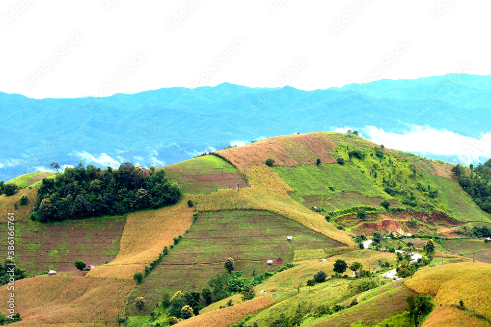 Panorama of beautiful view on hills
