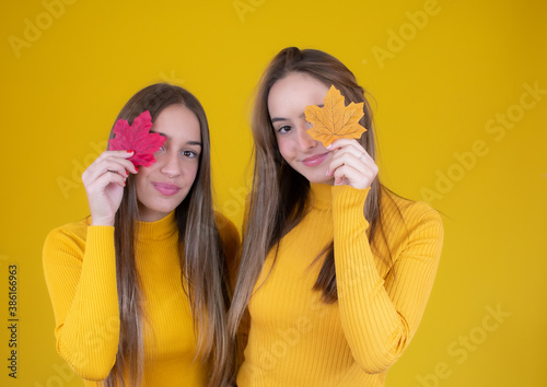 Two smiling girls holding in her hands yellow and red maple leaves covering her eye over yellow wall background