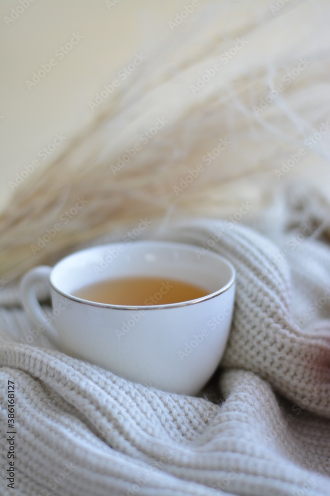 Autumn composition with sweater, pumpkin, dry flowers and a hot tea. Autumn stylish decorations for Halloween or holiday and Thanksgiving day. Autumn composition with sweater, pumpkin, dry flowers and a hot tea. Autumn stylish decorations for Halloween or holiday and Thanksgiving day.