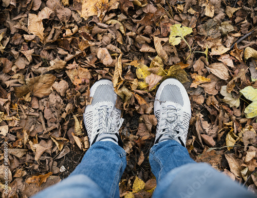 Top view of boots on fallen autumn leaves. © Vladimir Arndt