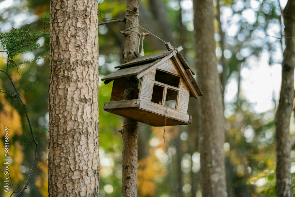 Bird feeder in the autumn forest. Bird feeder in the autumn forest.